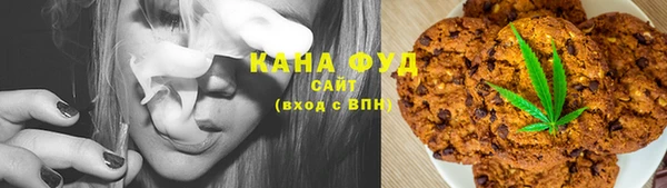 сатива Каменка