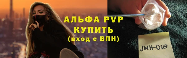 сатива Горнозаводск